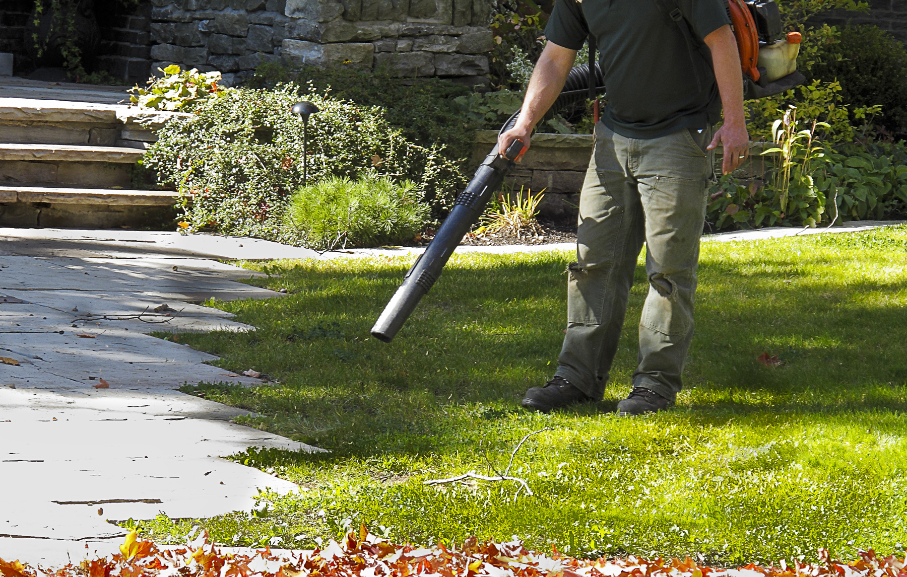 Fall Lawn Clean Up Burlington WI