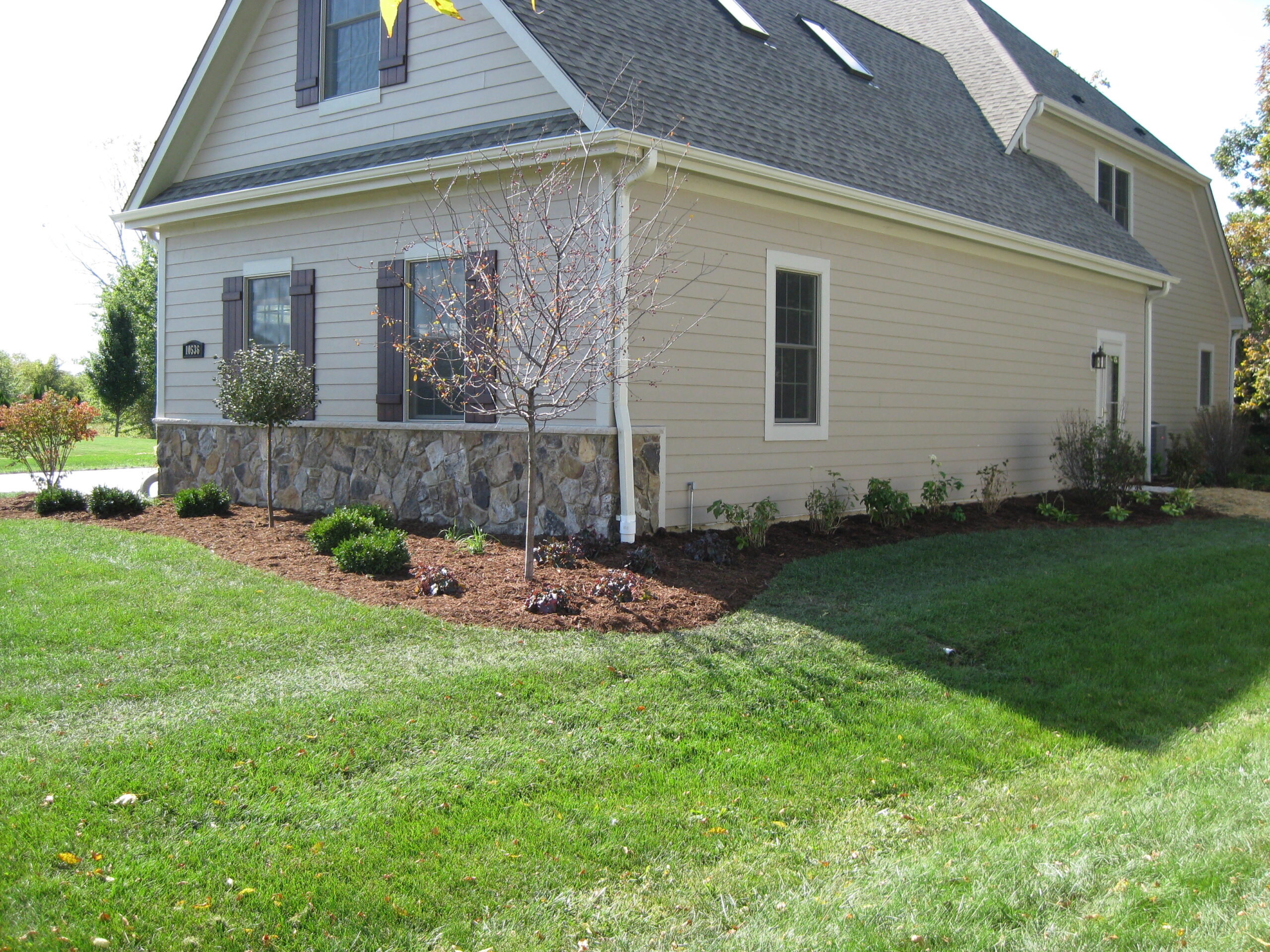 Yard Landscaping After Image