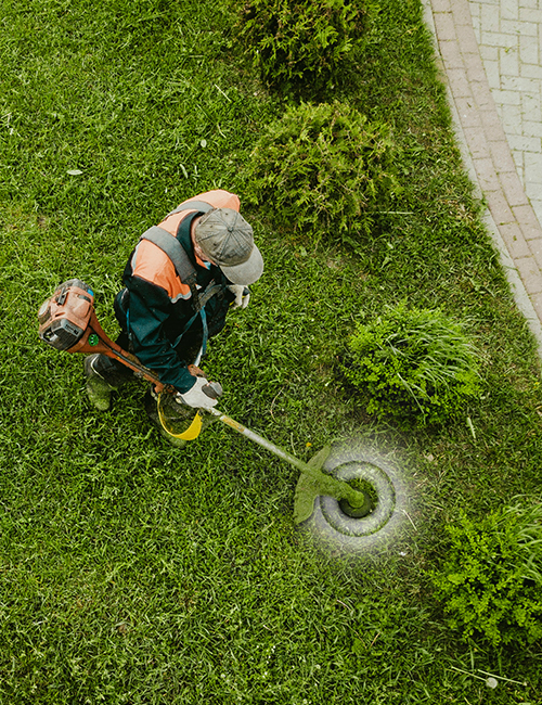 Lawn-Care-Maintenance-Burlington-WI