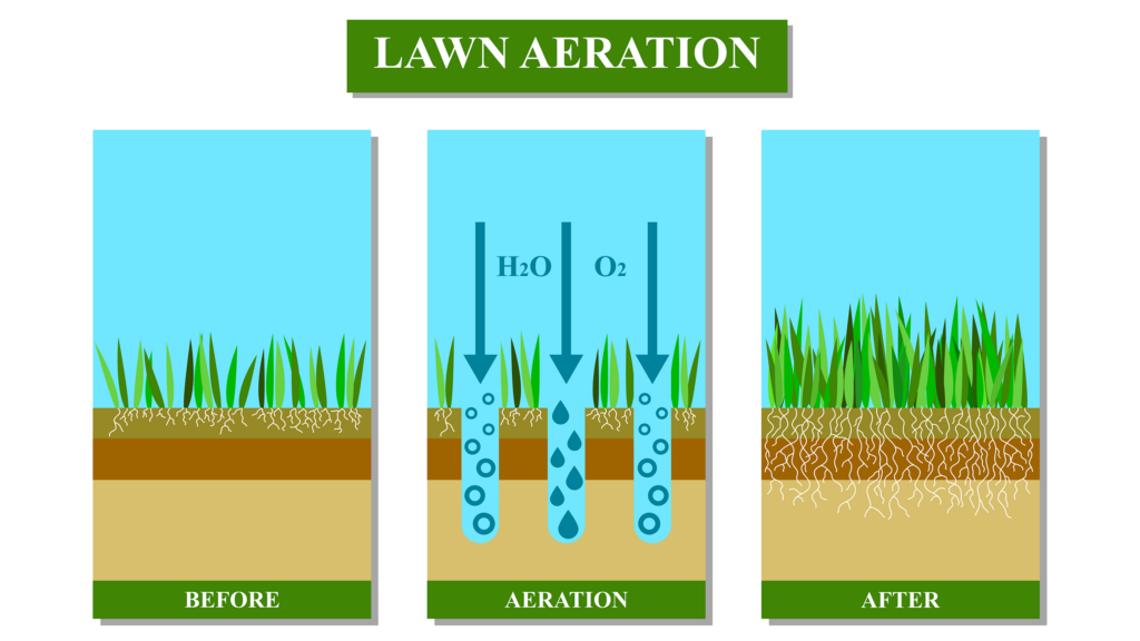 Core Aeration - Koch Kuts